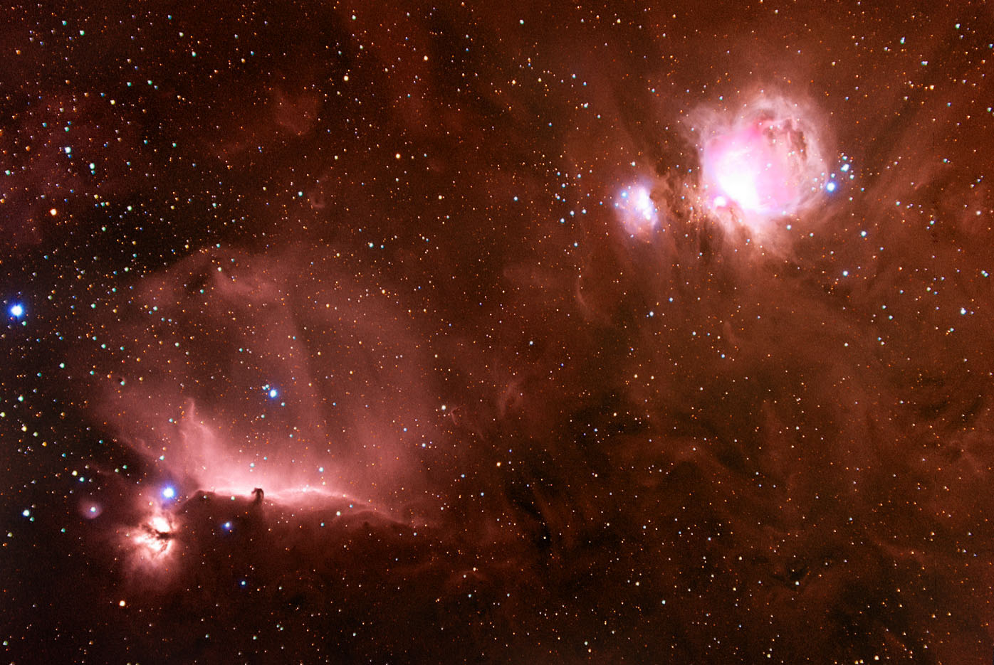 Horsehead and Orion Nebulae