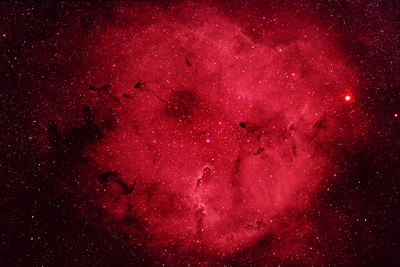 IC 1396 and Elephant Trunk Nebula
