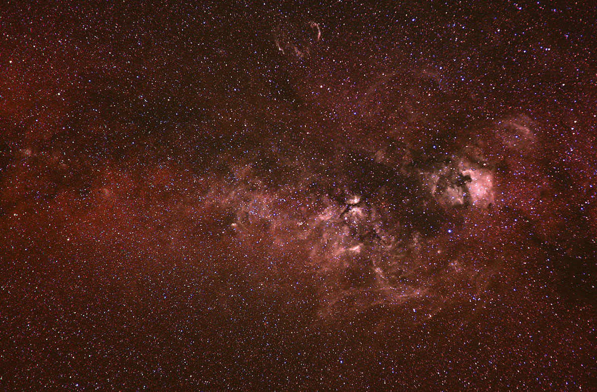 Cygnus