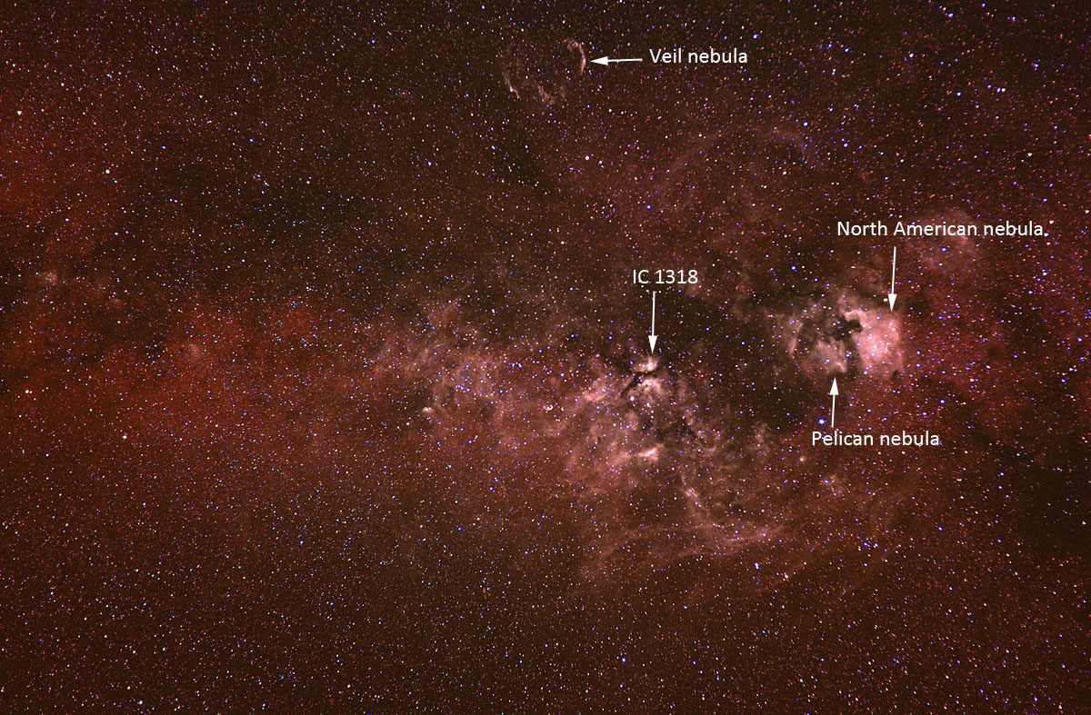 Cygnus