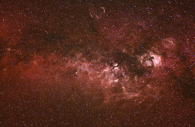 Cygnus