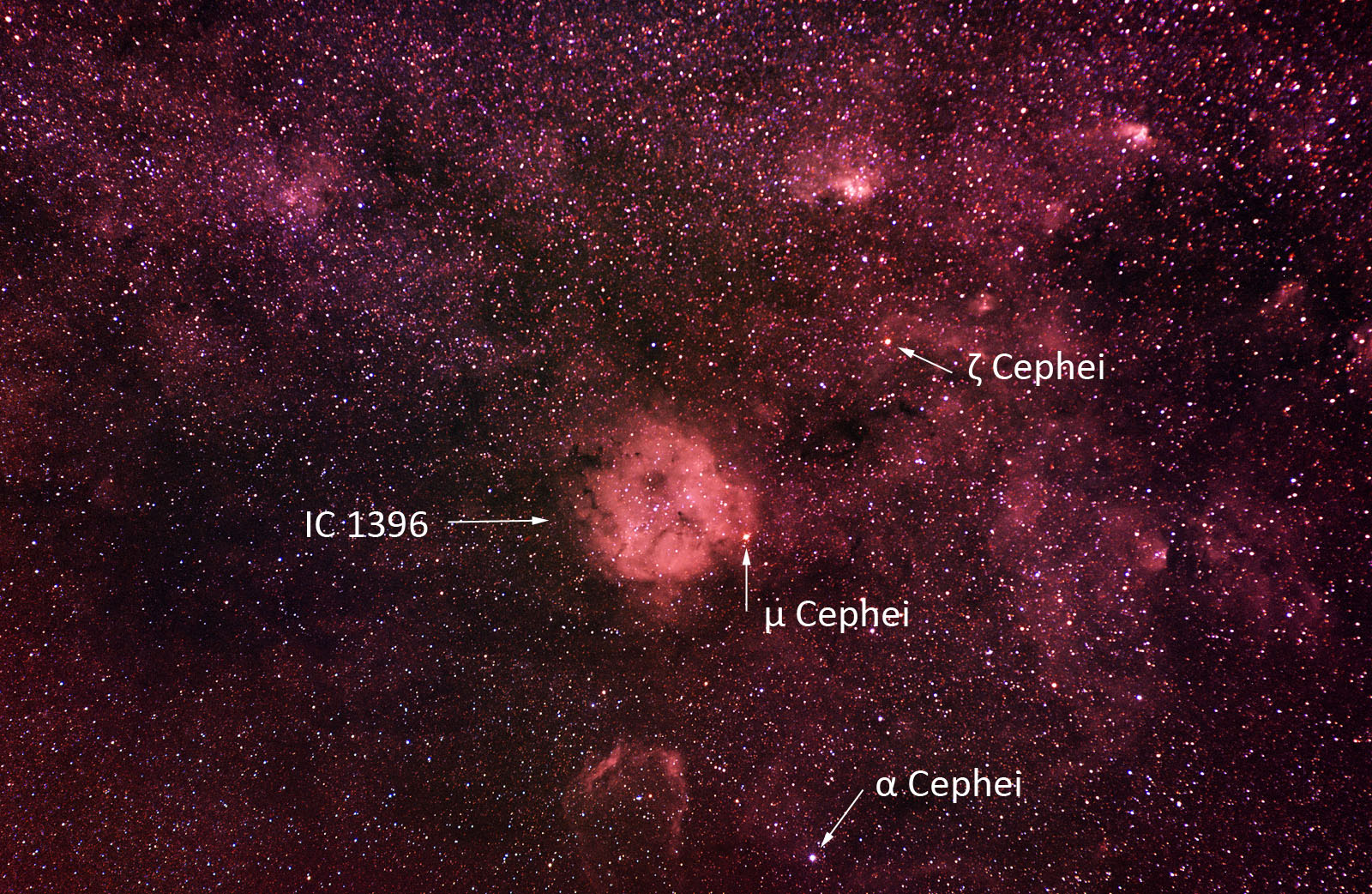 IC 1396