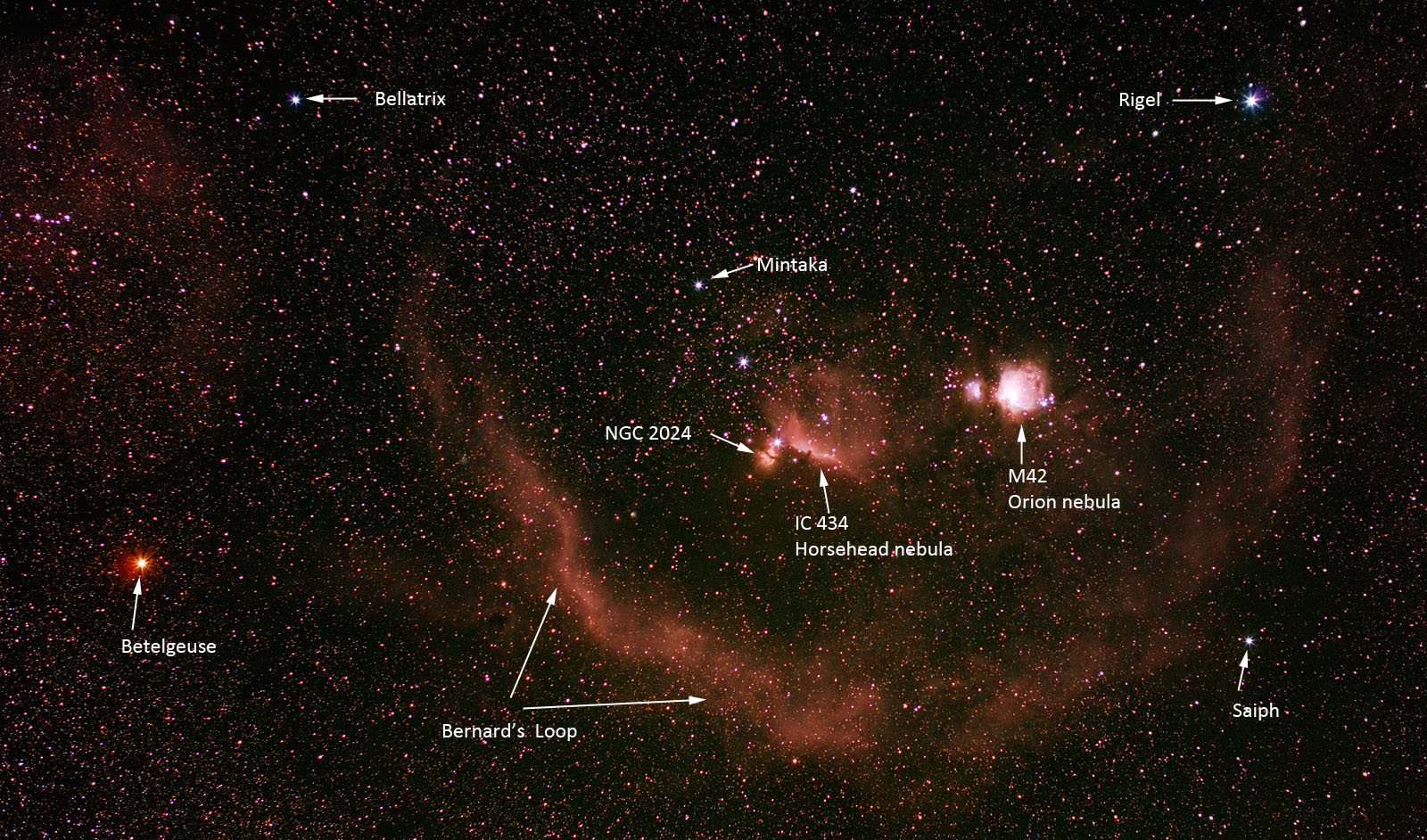 Orion