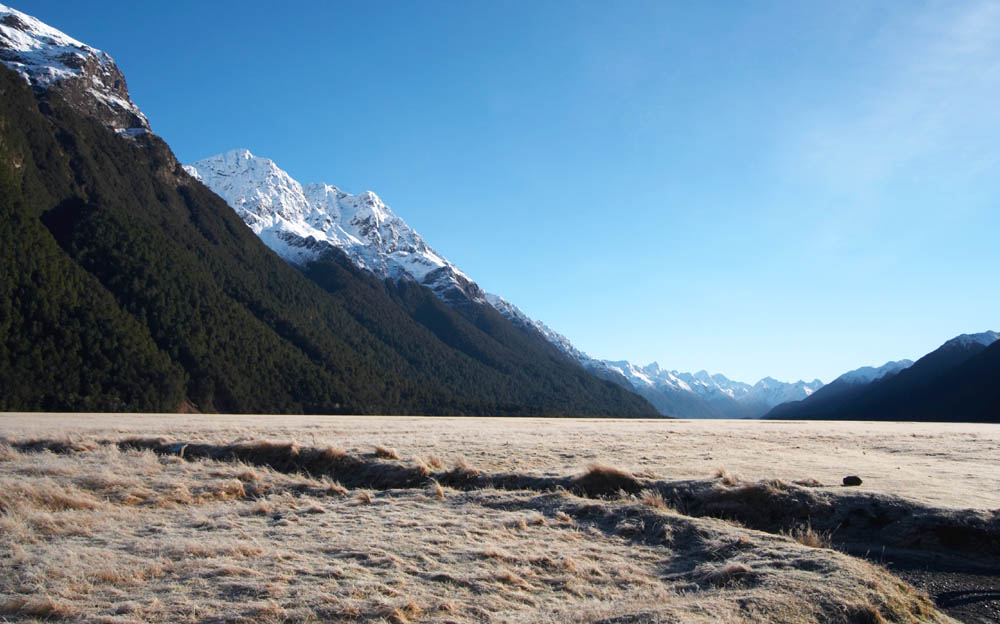 nz_milfroad_cx8934