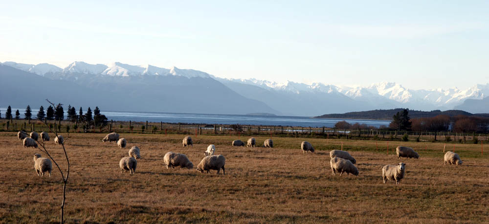 nz_teanau_c9624