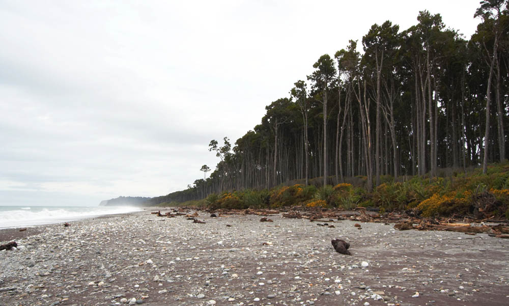 nz_westcoast_cx9107