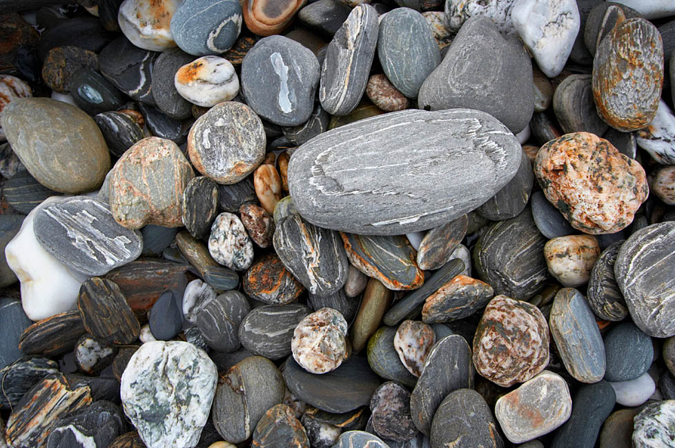 nz_westcoast_cx9115