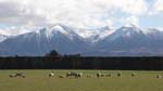 nz_canterbury_c9768