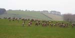 nz_canterbury_cx8880