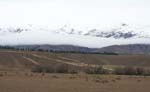 nz_ncanterbury_cx8905