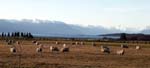 nz_teanau_c9624