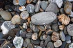 nz_westcoast_cx9115