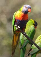 IMG_1967