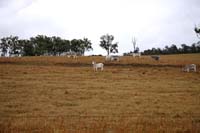 IMG_1644