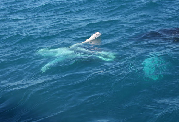 IMG_1764