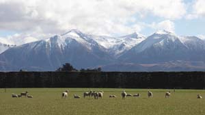 nz_canterbury_c9768_85mm_f11