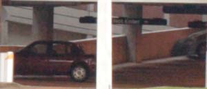20D_IMG_4316b