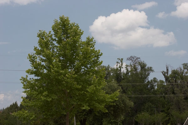 04_IMG_3130_polarizer