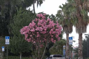 IMG_3152_none