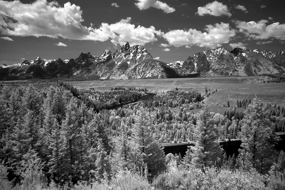 snakeriver_ir_IMG_6811